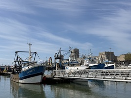 Hafenschiffe in Le Havre